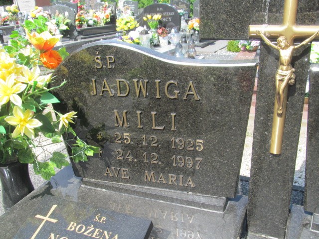 Bożena Nowicka 1947 Darłowo - Grobonet - Wyszukiwarka osób pochowanych