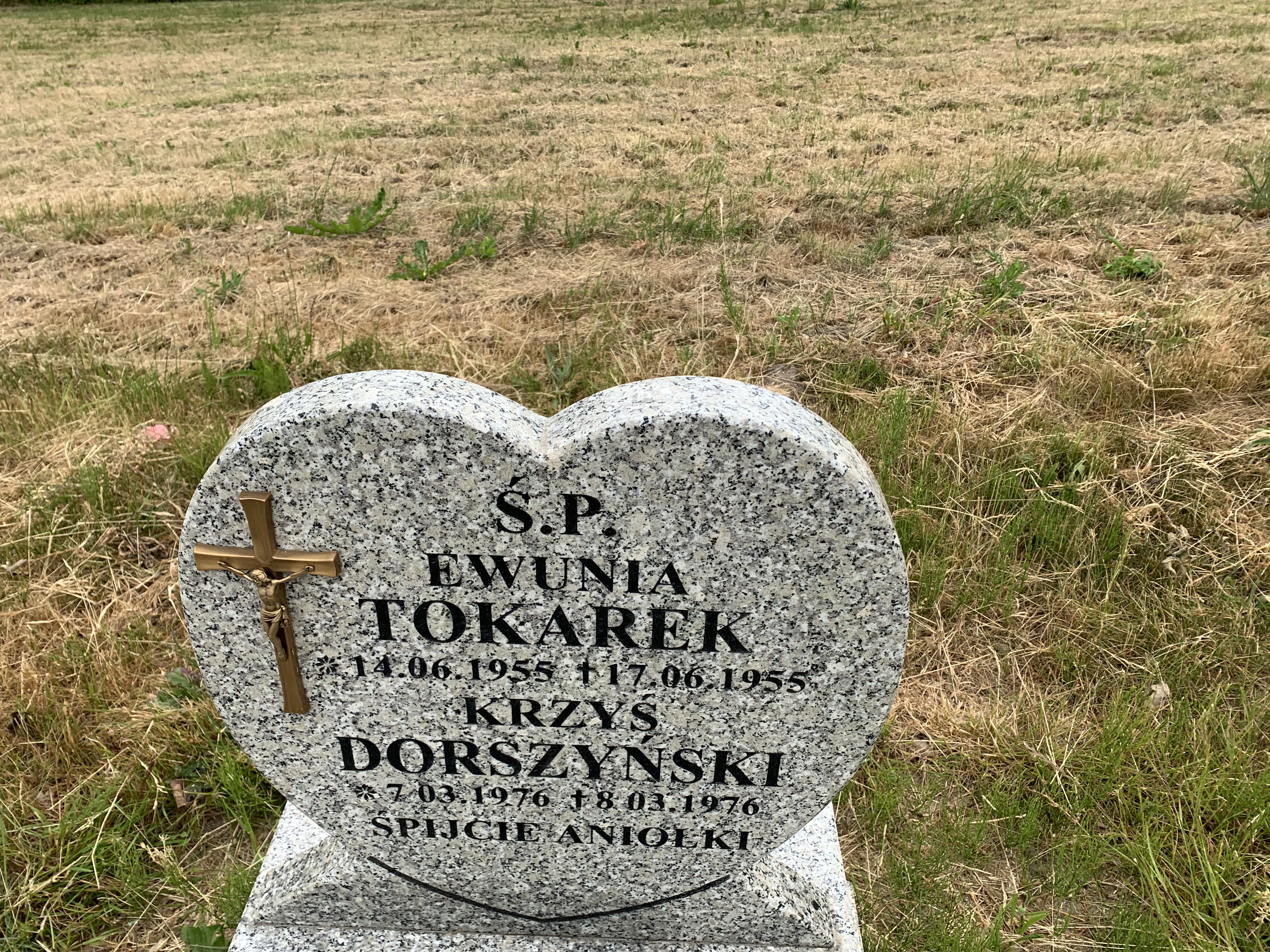 Ewa Tokarek 1955 Darłowo - Grobonet - Wyszukiwarka osób pochowanych