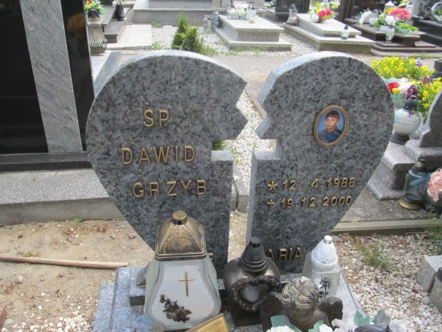 Dawid Grzyb 1988 Darłowo - Grobonet - Wyszukiwarka osób pochowanych